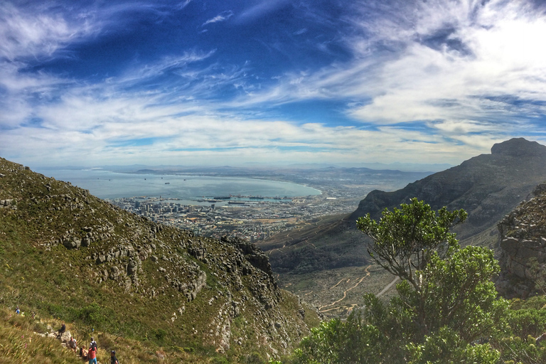 Cape Town: 2-Hour Table Mountain Hike via Platteklip Gorge