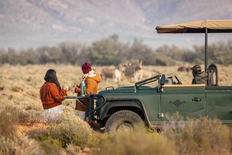 Cape Town: One-Day Safari with Game Drive & Lunch