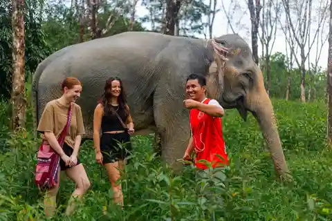 Phuket : Visite en petit groupe du sanctuaire des éléphants à Khao Lak