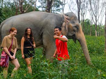 Phuket: Tour per piccoli gruppi del santuario degli elefanti a Khao Lak
