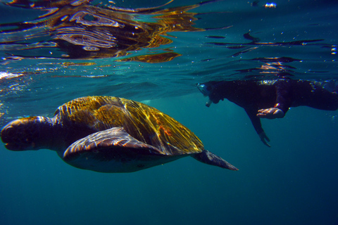 Snorkling i en vulkanisk vik