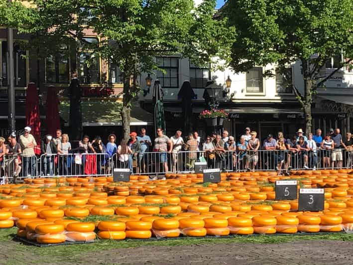 A Tour Of The Alkmaar Cheese Market In Suriname