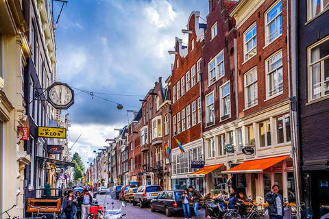 Amsterdam: Highlights Discovery tour