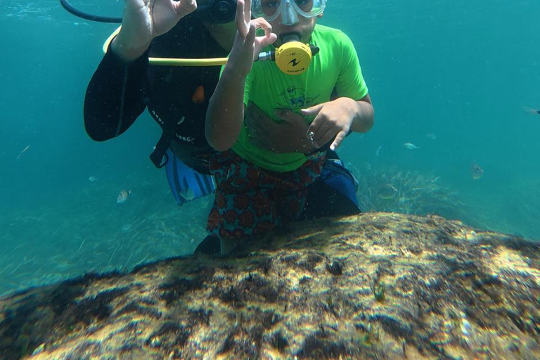 Mahdia: Guided Medina Tour and Scuba Diving Experience