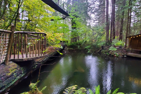 Stanley Pak-Capilano Susp Bridge &amp; Grouse Mount Tour privadoTour privado de la ciudad de Vancouver