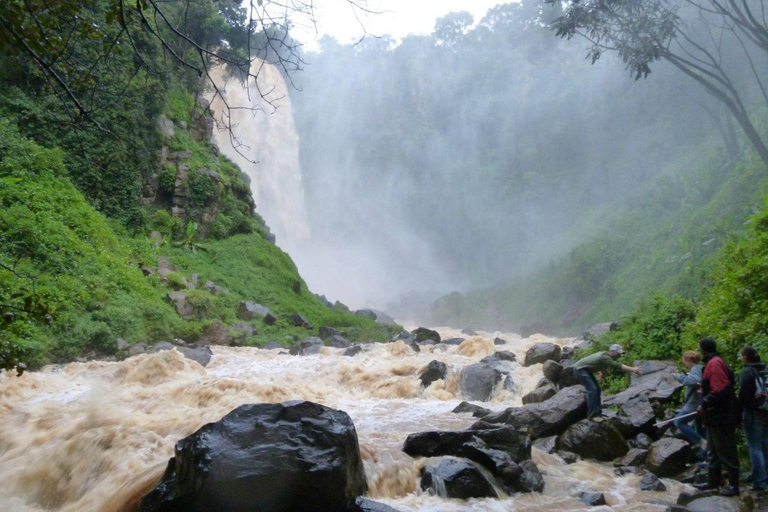 OS ABERDARES: UMA VIAGEM DE 1 DIA A THOMPSON FALLS, ABERDARES