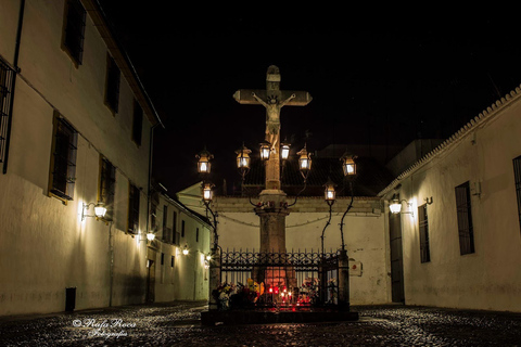 Córdoba à noite de bicicleta, bicicleta elétricaCórdoba à noite de bicicleta