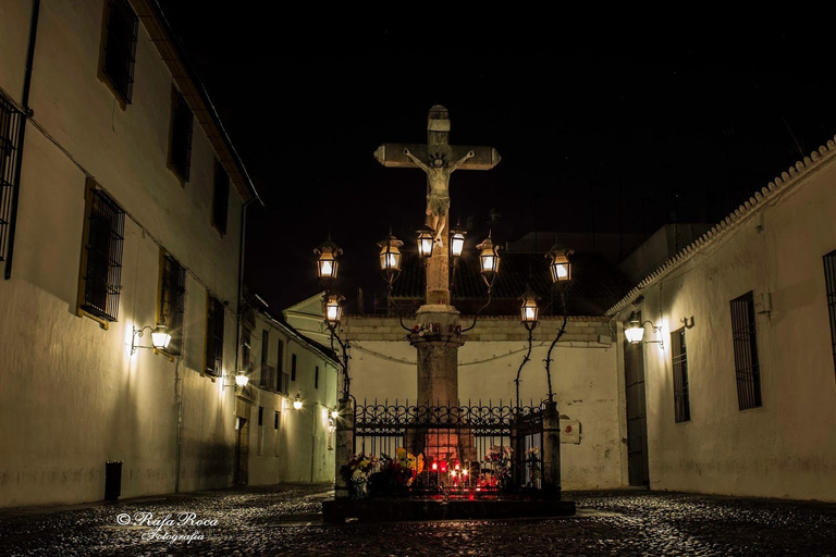 Cordoba at Night by Bike, Electric BikeCordoba at Night by Bike