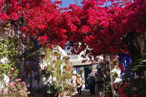 Cordoba Courtyards by Bike, Electric Bike Bike Tour