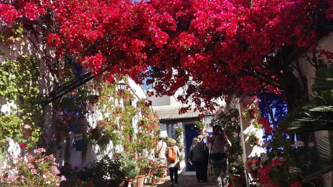 cordoba courtyards by bike electric bike or segway