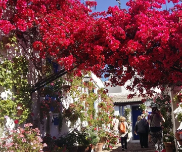 Cordoba Courtyards by Bike, Electric Bike