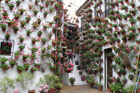 Cordoba Courtyards by Bike, Electric Bike Bike Tour