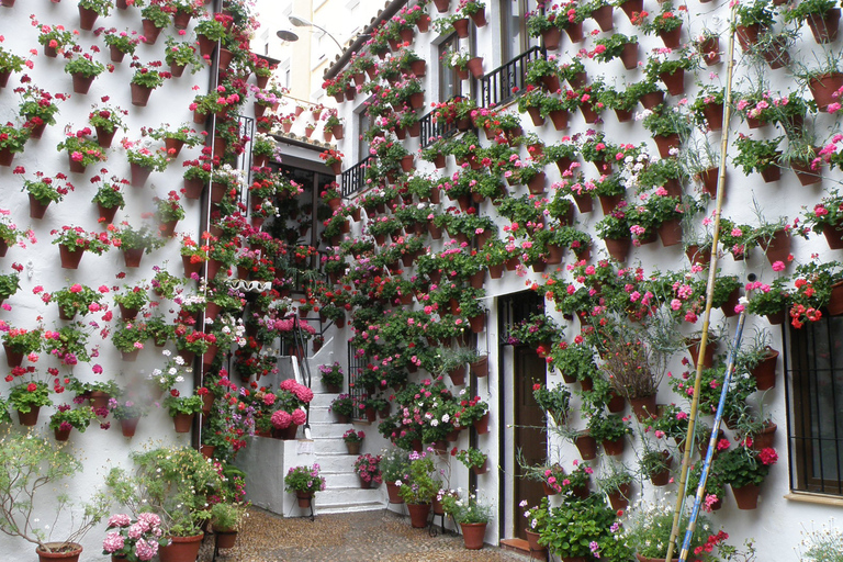 Cordoba Courtyards by Bike, Electric Bike Bike Tour