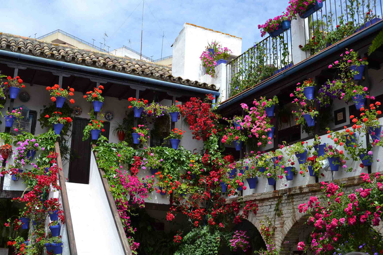 Cordoba Courtyards by Bike, Electric Bike Bike Tour