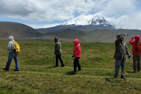 Antisana Volcano Private Tour: Condors & Andean birds Wat