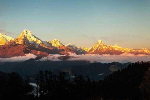 Desde Pokhara: Excursión privada de 4 días a Poon Hill con guíaTour privado con comidas incluidas.