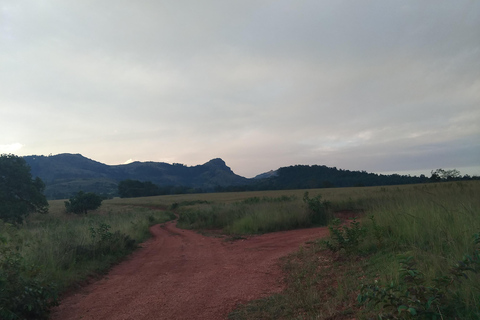 Eswatini: Guided Hike to Nyonyane Mountain - Execution Rock Minimum 2 Pax