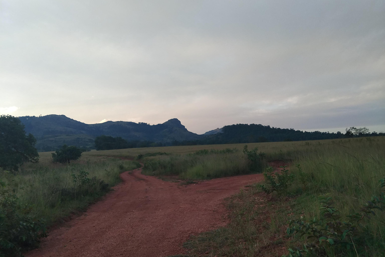 Eswatini: Guided Hike to Nyonyane Mountain - Execution Rock Minimum 2 Pax