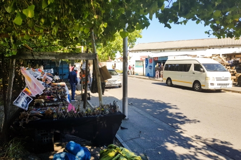 Ciudad del Cabo: ferri a Robben Island y tour por municipios