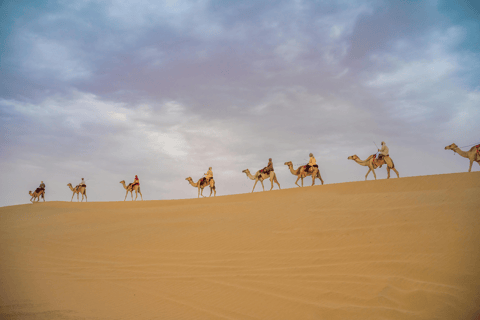 Abu Dhabi: Quad Bike ATV Safari, Camel Ride and Sandboarding