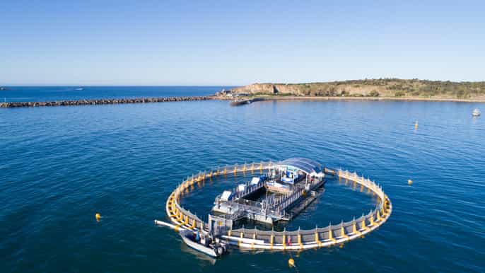 2hour in sea aquarium experience from granite island