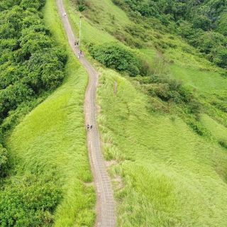 Ubud: Campuhan Ridge to Ubud Monkey Forest Walking Tour