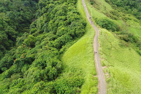 Ubud : visite guidée du Campuhan Ridge à la forêt des singes