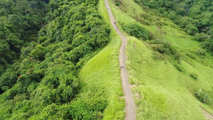 ubud campuhan ridge to ubud monkey forest walking tour