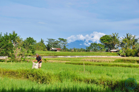 Ubud: Fototur till Tjampuhan Ridge, apskogen och konstmarknadenTur med mötesplats i Ubud