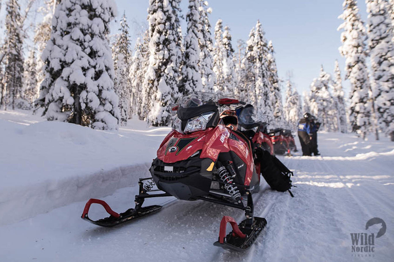 Rovaniemi : Safari en motoneige facile