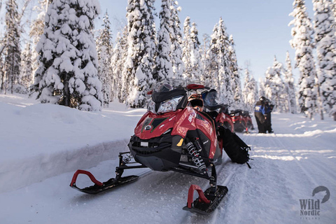 Rovaniemi: Safari en moto de nieve por el bosque del Círculo Polar ÁrticoConducción individual 1 persona por moto de nieve