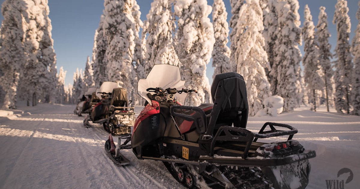 Rovaniemi Safari En Moto De Nieve Al Desierto Con Almuerzo GetYourGuide