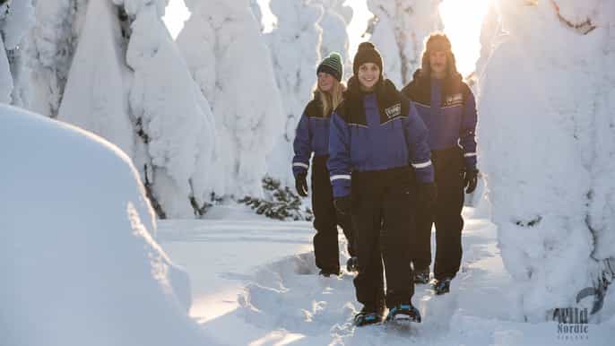 rovaniemi snowshoeing in the arctic circle wilderness
