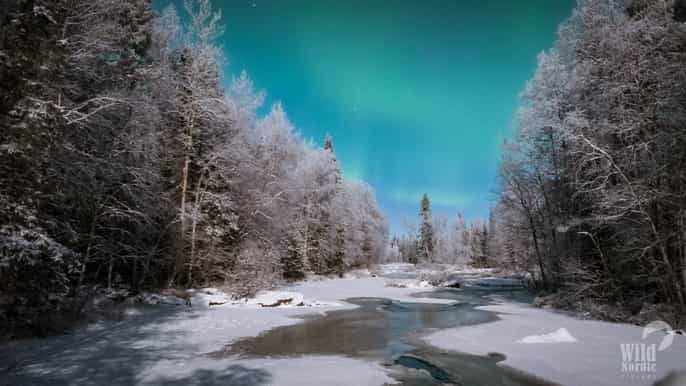 rovaniemi evening snowshoe hike