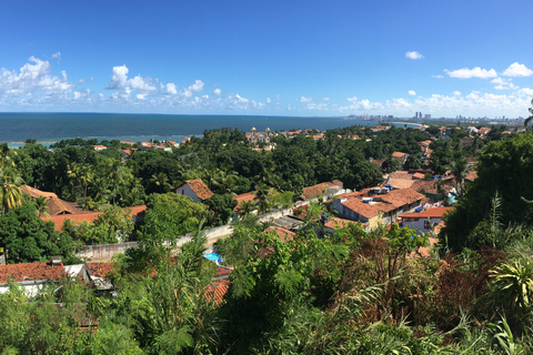 Tour de la ciudad de Recife y Olinda: Descubriendo el Encanto de Dos CiudadesTour en grupo en español