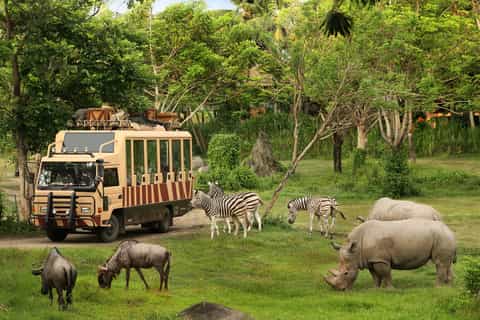 Bali Safari and Marine Park: Day Admission Ticket