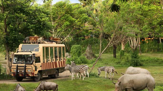 bali safari and marine park day admission ticket
