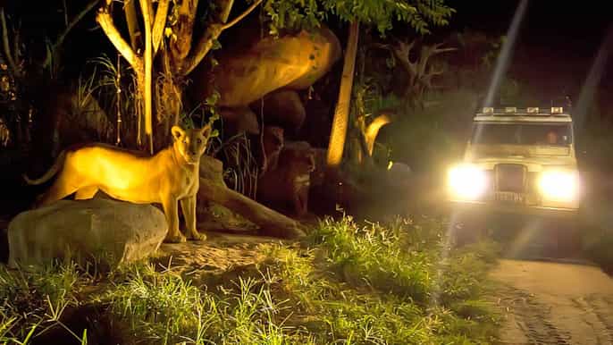 bali safari and marine park night safari ticket