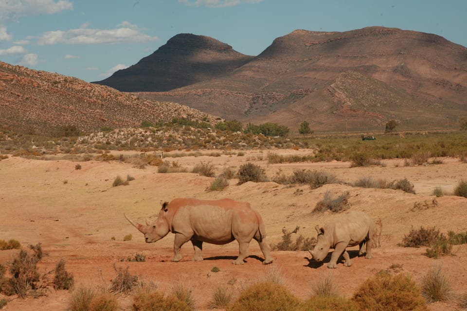 Aquila Private Game Reserve Sonnenuntergangssafari mit Eintrittsgebühr