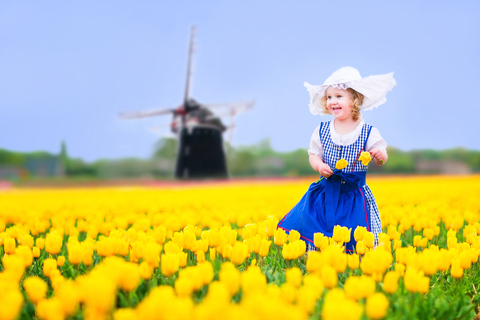 La mágica Delft y la finca Keukenhof: Tulipanes en abundanciaVisita a los Tulipanes de Keukenhof y Delft desde Bruselas