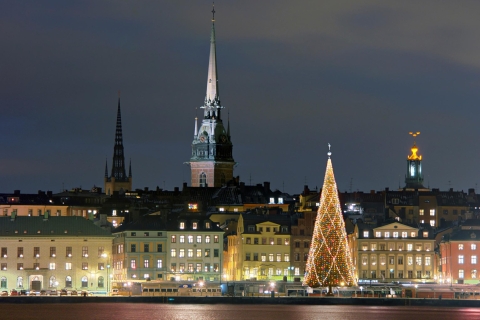 Estocolmo: tour privado de Navidad a pieEstocolmo: tour privado de Navidad en alemán