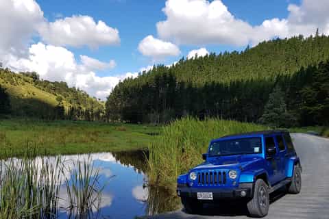 Paihia: Jeep Wrangler Half-Day Private Sightseeing Tour