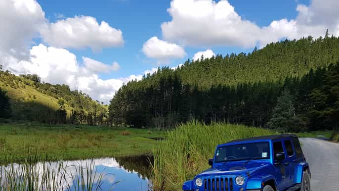 paihia jeep wrangler halfday private sightseeing tour