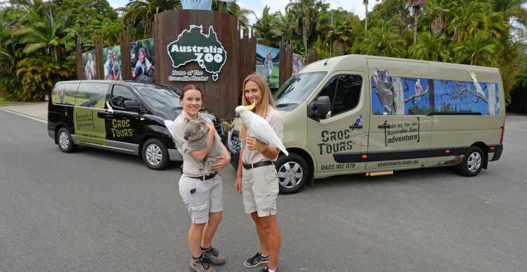 Australia Zoo Koala Cuddle Entry Transfer Sunshine Coast GetYourGuide