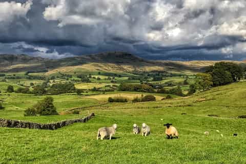 from manchester lake district tour