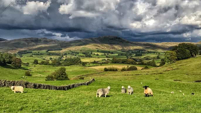from manchester lake district tour