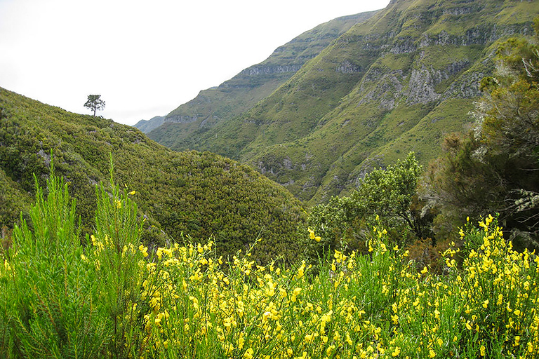 Excursión a Madeira: ruta de levada en el valle de RabaçalRuta por Levada en el valle de Rabaçal