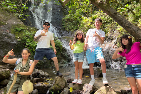 Oahu: Waterfall Hike via Scenic South Shore Drive