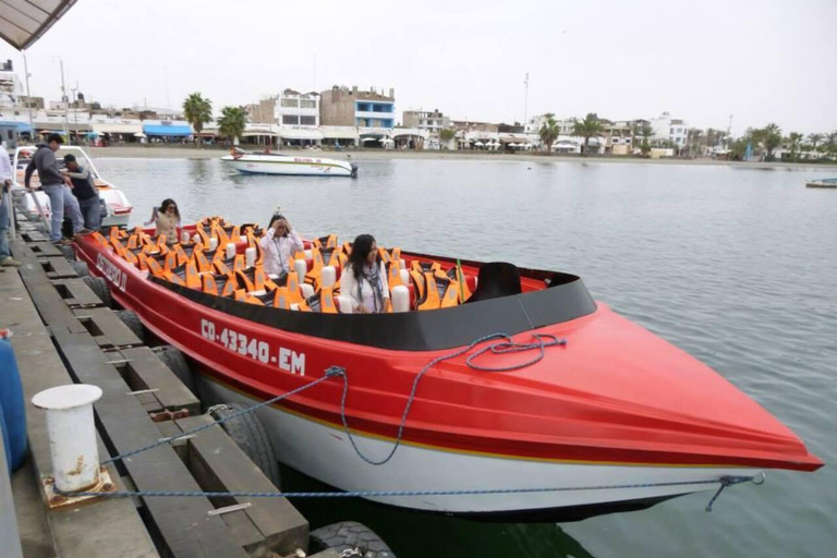 巴列斯塔斯群岛：野生动物与帕拉卡斯海洋探险之旅