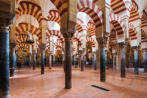 Córdoba Rondleiding door de moskee, de Joodse wijk en AlcazarCórdoba Tour in het Spaans